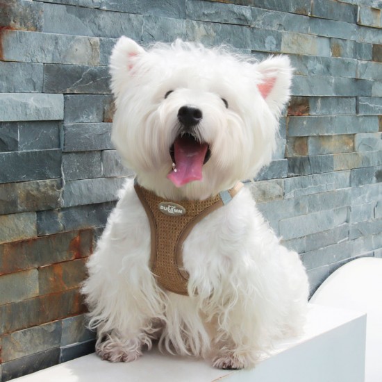 Custom Luxury Skin-friendly Adjustable Escape Prevention Pet Dog Cat Harness Leash Set Custom Luxury Skin-friendly Adjustable Escape Prevention Pet Dog Cat Harness Leash Set